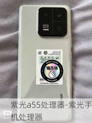 紫光a55处理器-紫光手机处理器