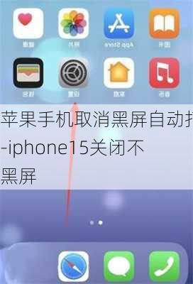 苹果手机取消黑屏自动打开-iphone15关闭不黑屏