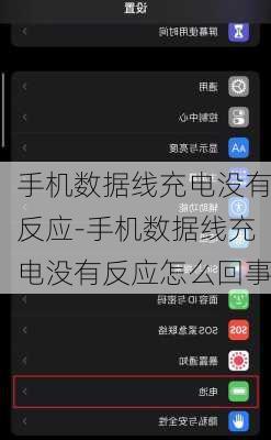 手机数据线充电没有反应-手机数据线充电没有反应怎么回事