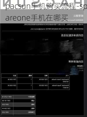 pacsun手机购买流程-spareone手机在哪买