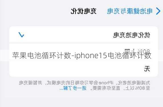 苹果电池循环计数-iphone15电池循环计数