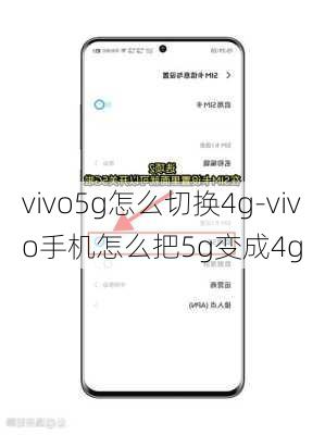 vivo5g怎么切换4g-vivo手机怎么把5g变成4g